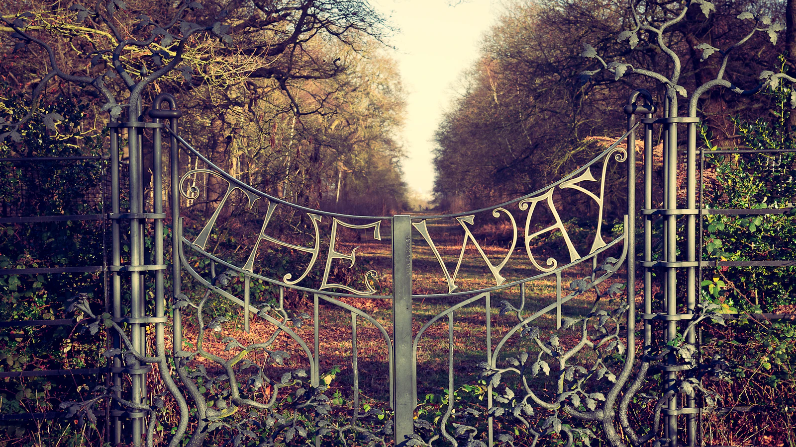 Metal entrance gate surrounded by established greenery